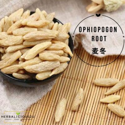 Ophiopogon Root 麦冬