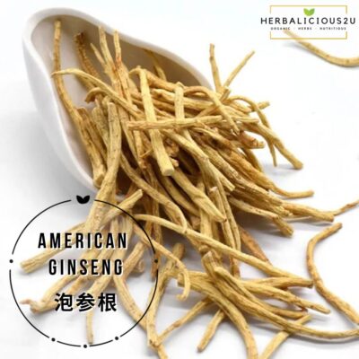 泡参根 American Ginseng