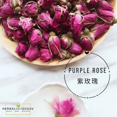 紫玫瑰 Purple Rose